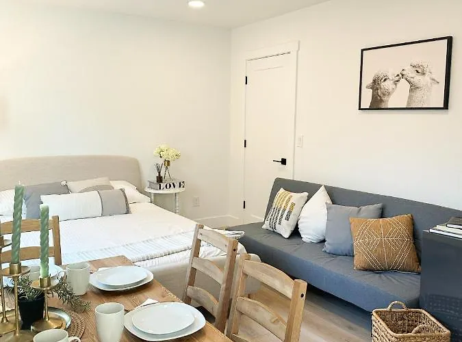 New Cozy Modern Studio Apartment